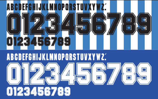 Argentina 1994 Football Nameset AI Vector File