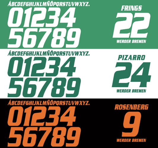 Bremen 2008-2009 Nameset AI Vector File