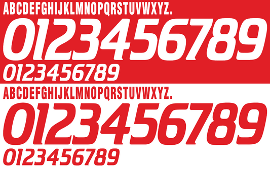 Denmark 1996 Football Nameset AI Vector File