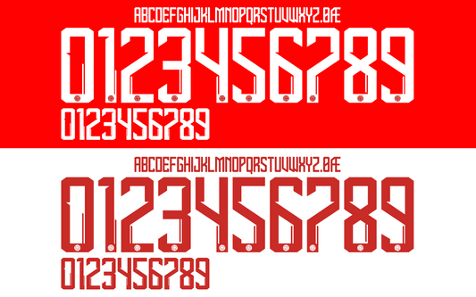 Denmark 2024 Football Nameset AI Vector File