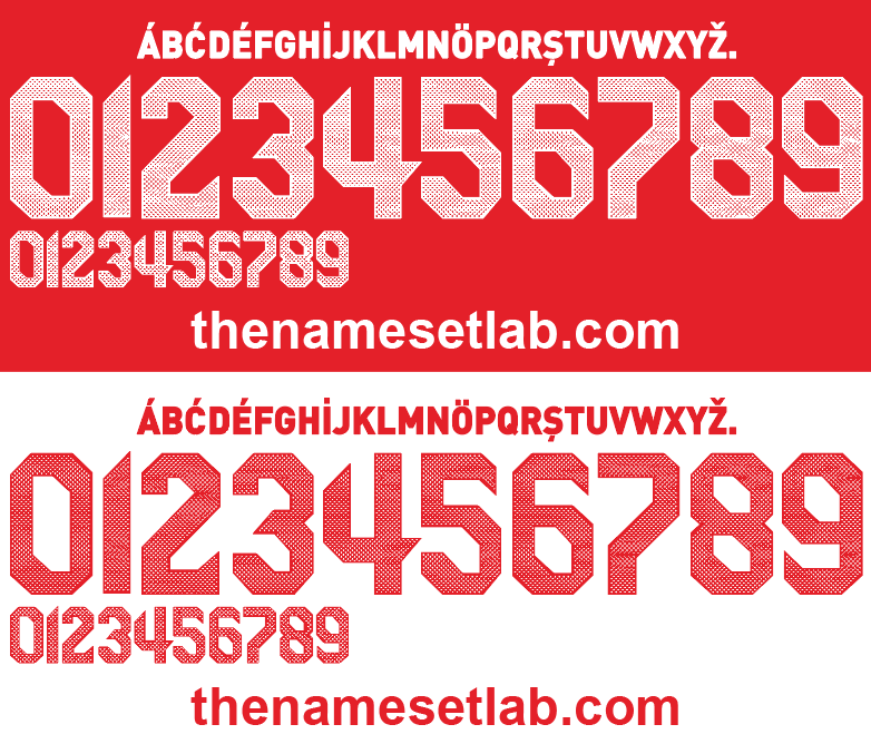 Turkey 2010 Football Nameset AI Vector File