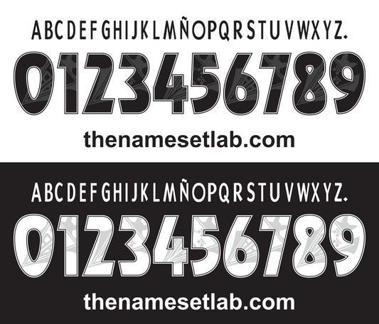Albacete 2015-2016 Nameset AI Vector File