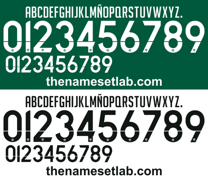 Bosnia 2014 Football Nameset AI Vector File