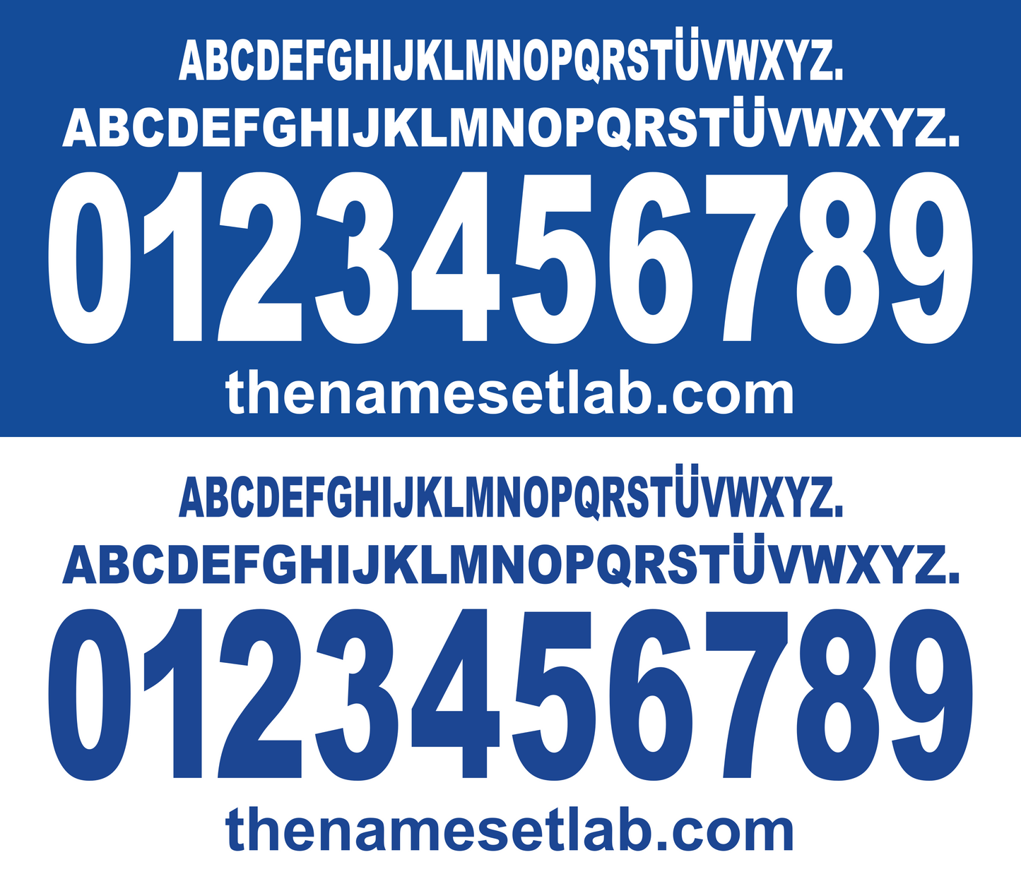 Brescia 2000-2001 Nameset AI Vector File