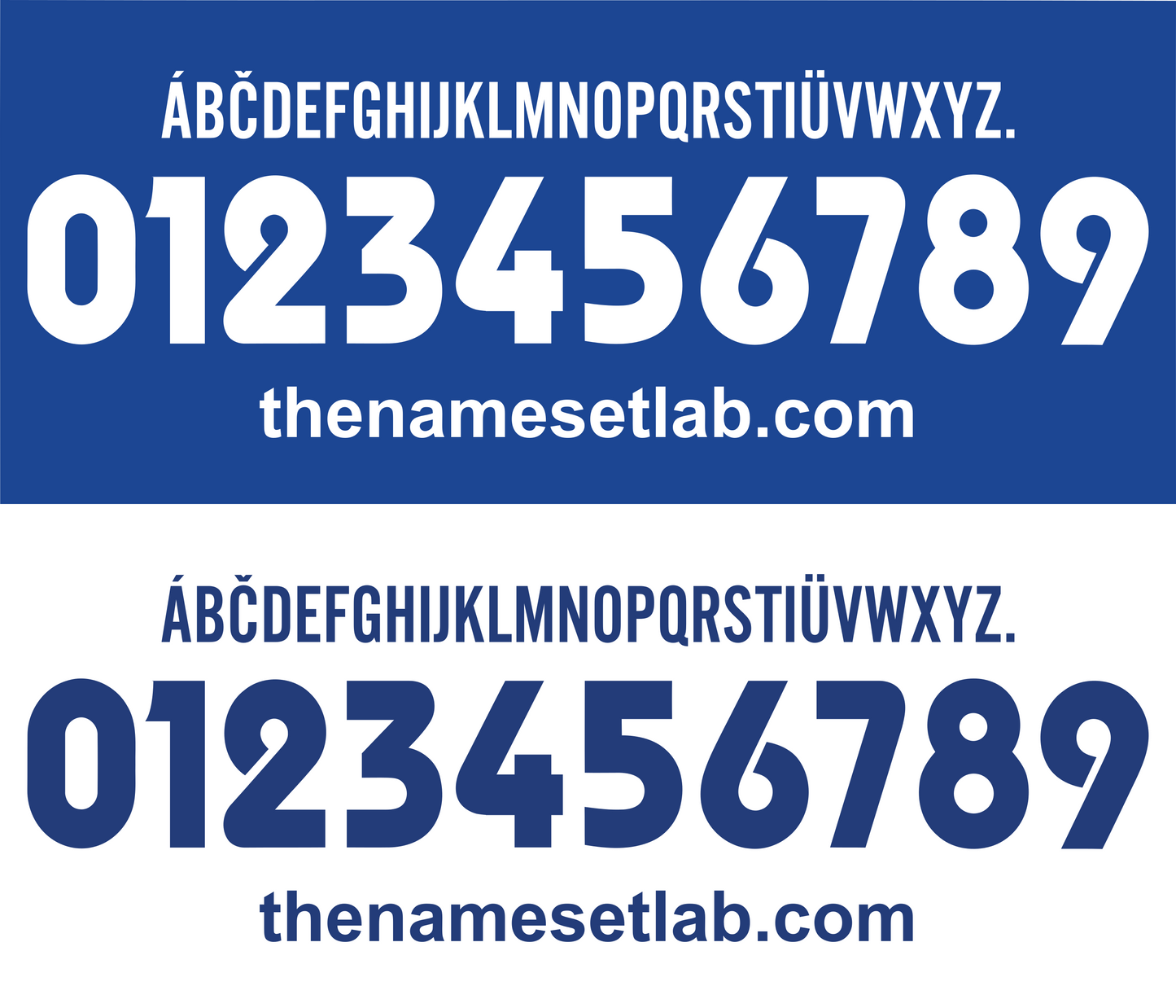 Brescia 2002-2003 Nameset AI Vector File
