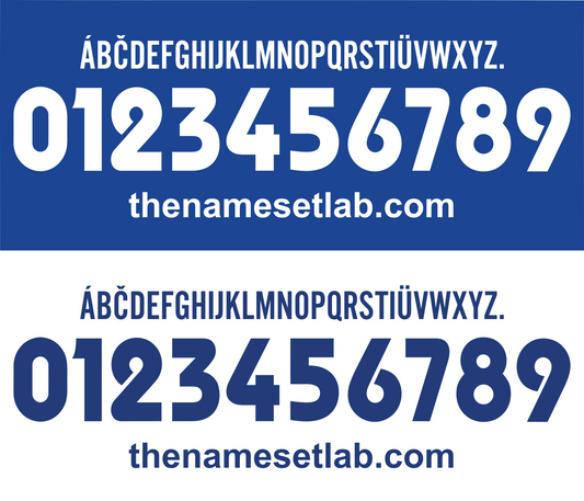 Brescia 2002-2003 Nameset AI Vector File