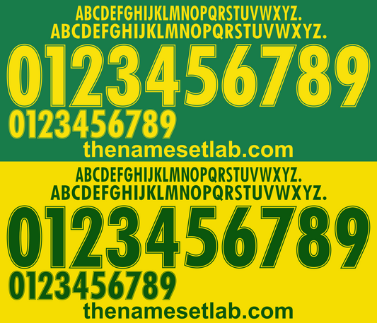 Cameroon 1998 Football Nameset AI Vector File