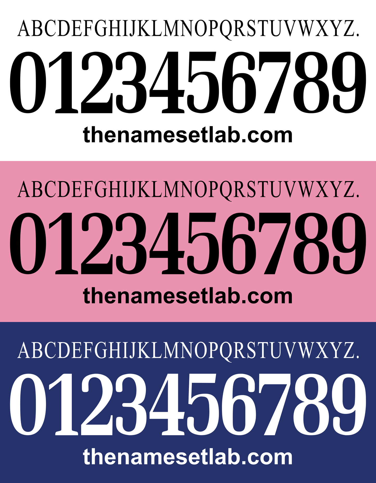 Cesena 2014-2015 Nameset AI Vector File