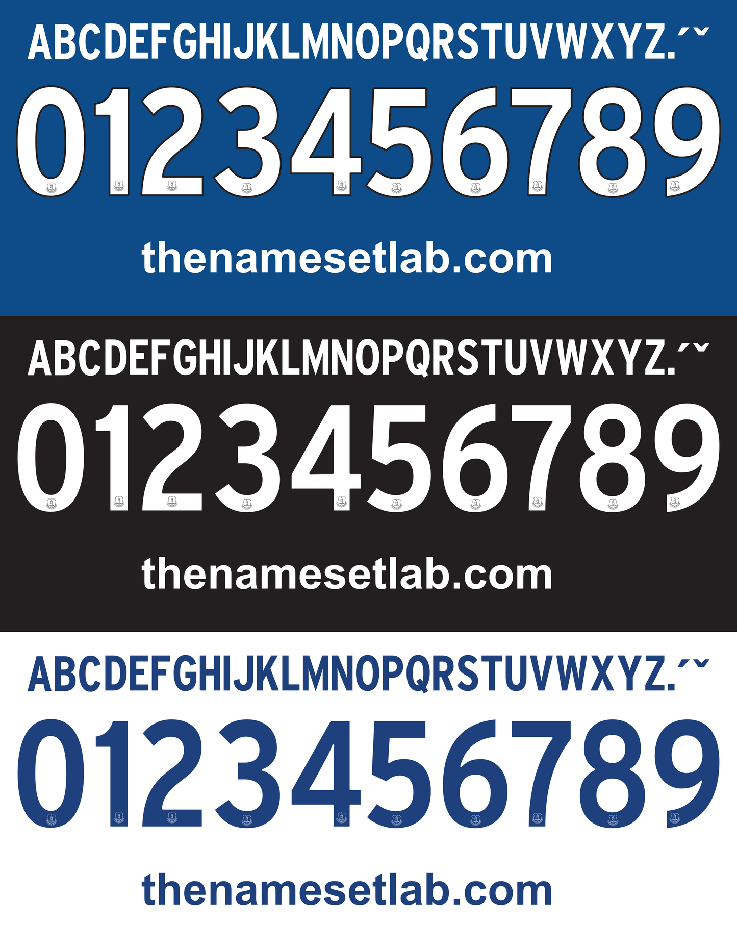 Everton 2014-2015 Nameset AI Vector File