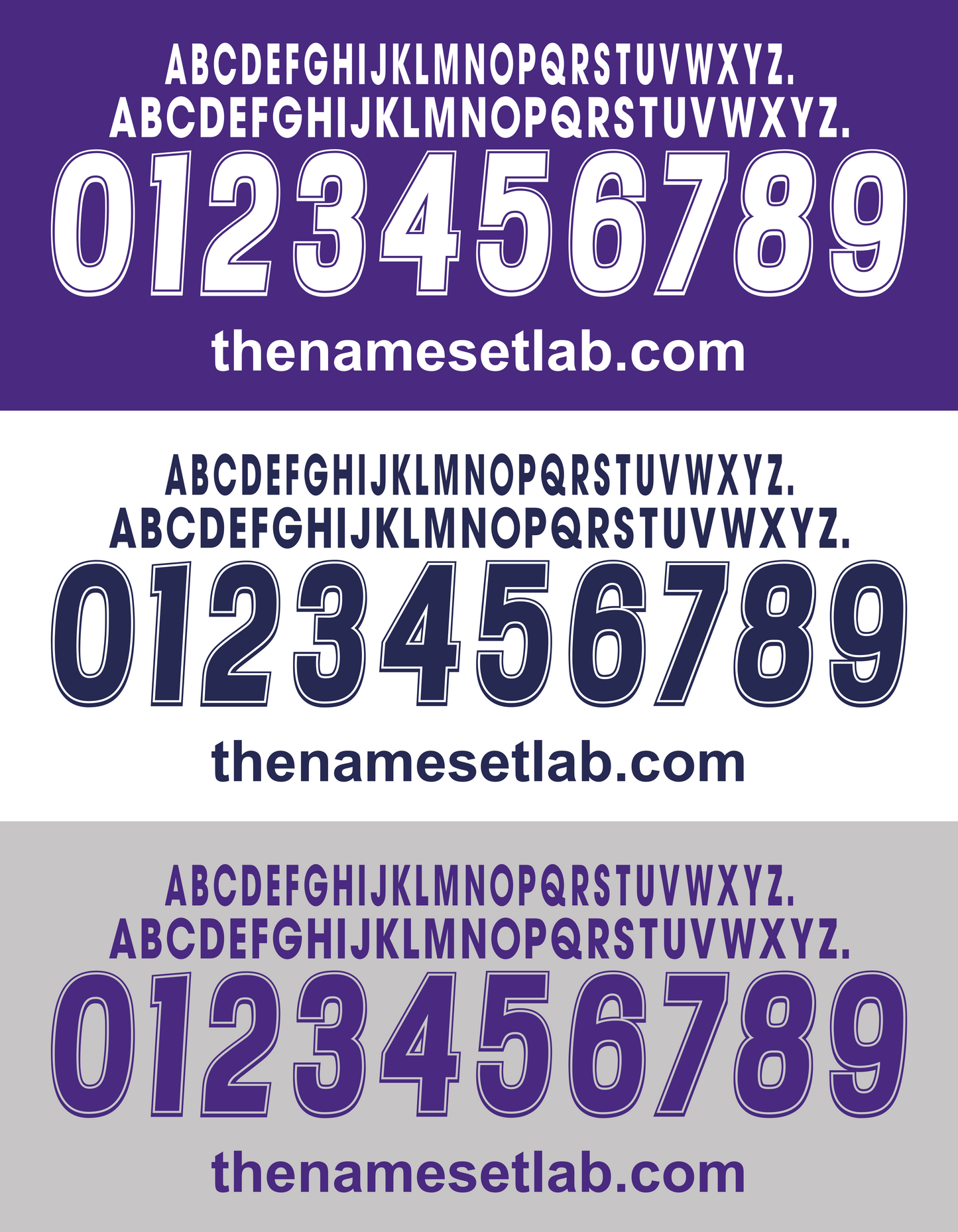 Fiorentina 2000-2001 Nameset AI Vector File