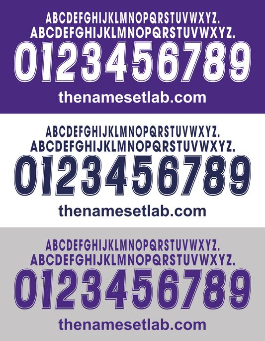 Fiorentina 2000-2001 Nameset AI Vector File