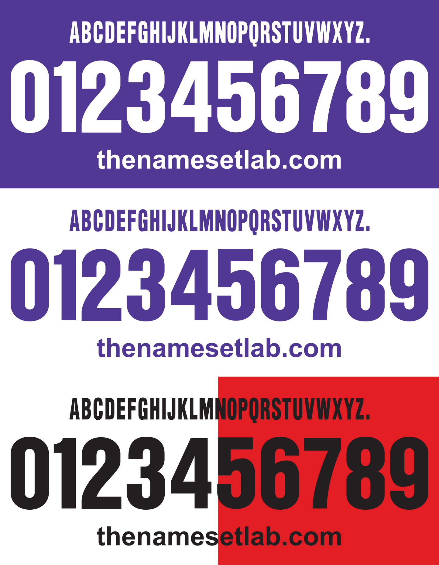 Fiorentina 2001-2002 Nameset AI Vector File