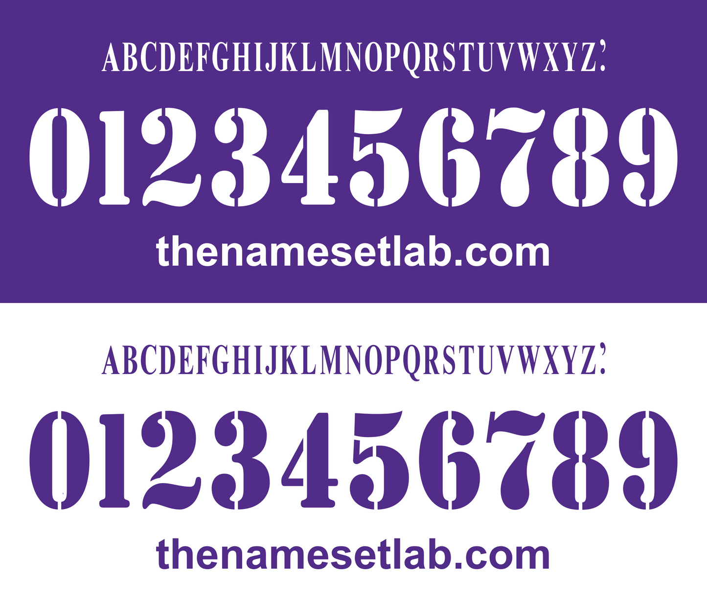 Fiorentina 2003-2005 Nameset AI Vector File