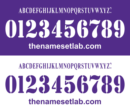 Fiorentina 2003-2005 Nameset AI Vector File