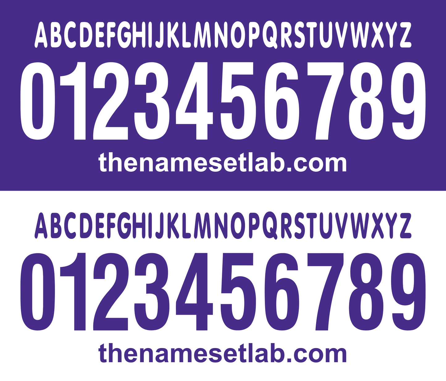 Fiorentina 2006-2007 Nameset AI Vector File