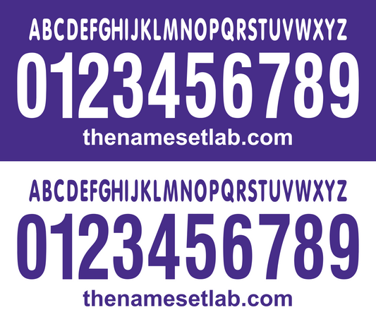 Fiorentina 2006-2007 Nameset AI Vector File