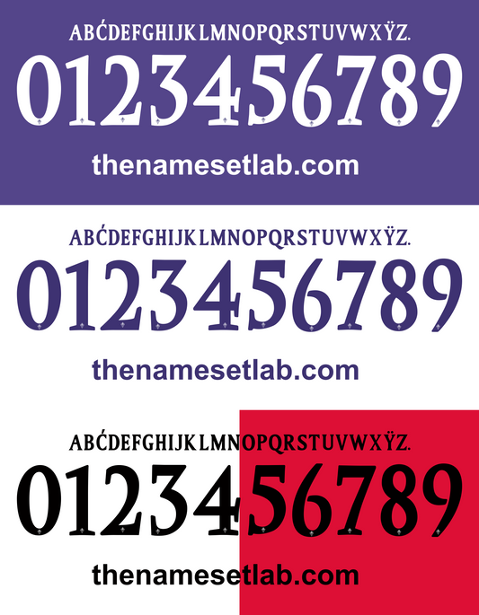 Fiorentina 2012-2013 Nameset AI Vector File