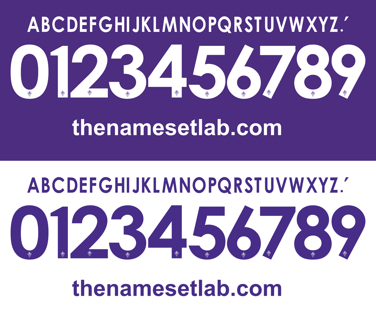Fiorentina 2013-2014 Nameset AI Vector File