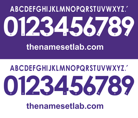 Fiorentina 2013-2014 Nameset AI Vector File