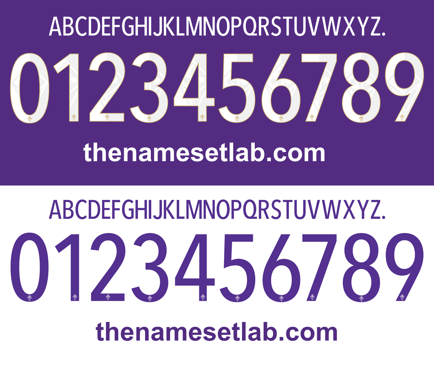 Fiorentina 2014-2015 Nameset AI Vector File