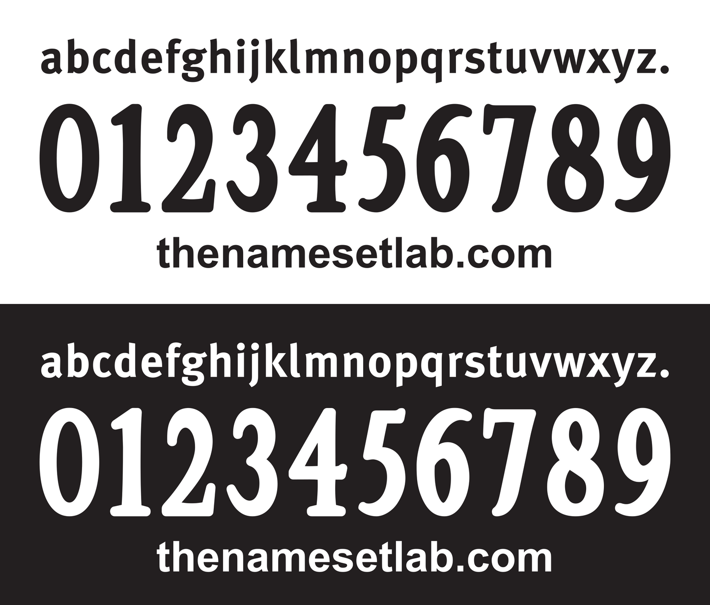 Fulham 2010-2011 Nameset AI Vector File