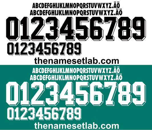 Germany 1994 Football Nameset AI Vector File