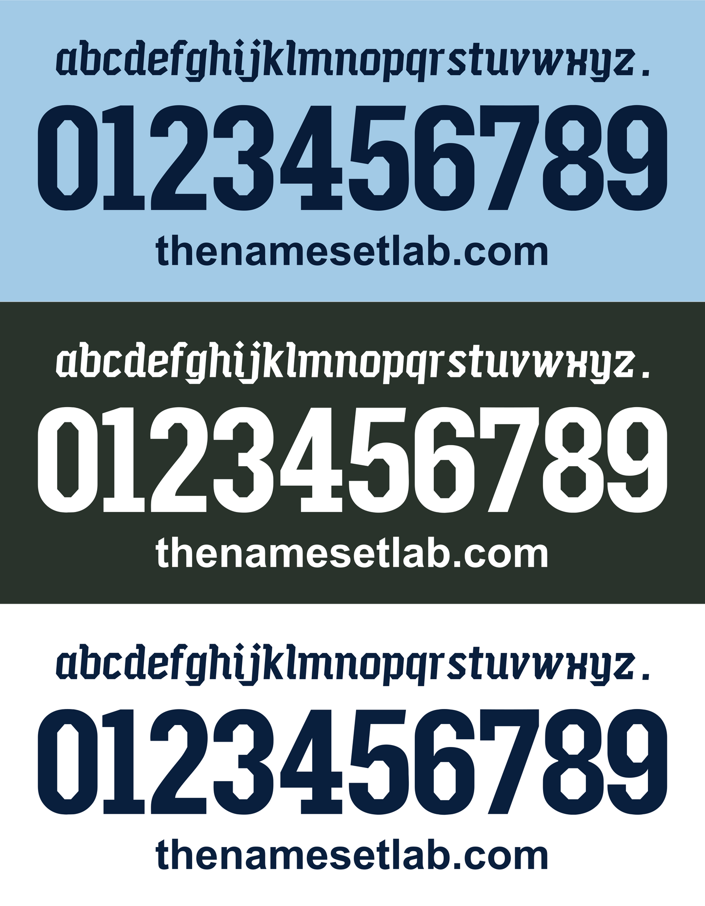 Lazio 2010-2011 Nameset AI Vector File