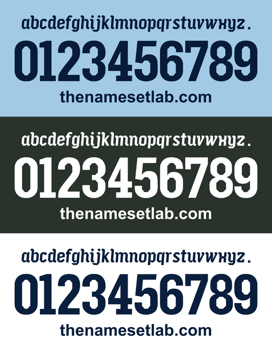 Lazio 2010-2011 Nameset AI Vector File