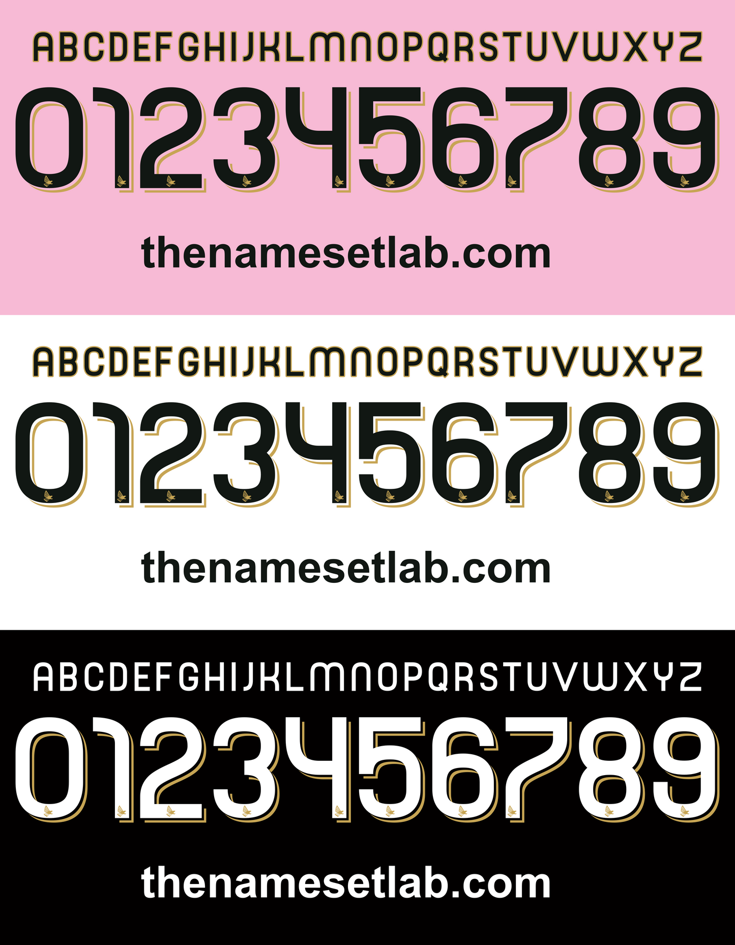 Palermo 2010-2011 Nameset AI Vector File