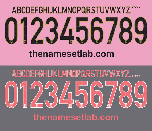 Palermo 2014-2015 Nameset AI Vector File