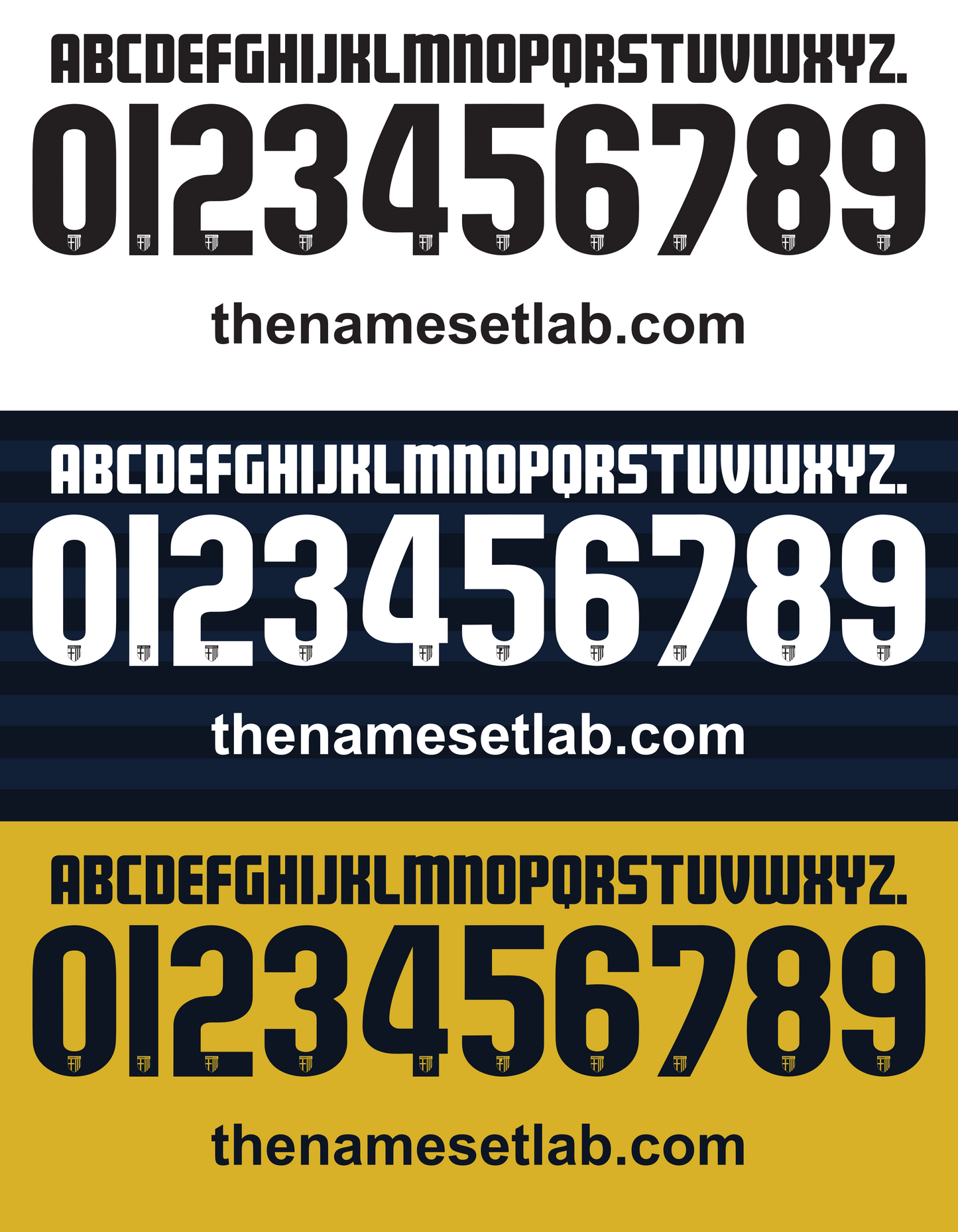 Parma 2014-2015 Nameset AI Vector File