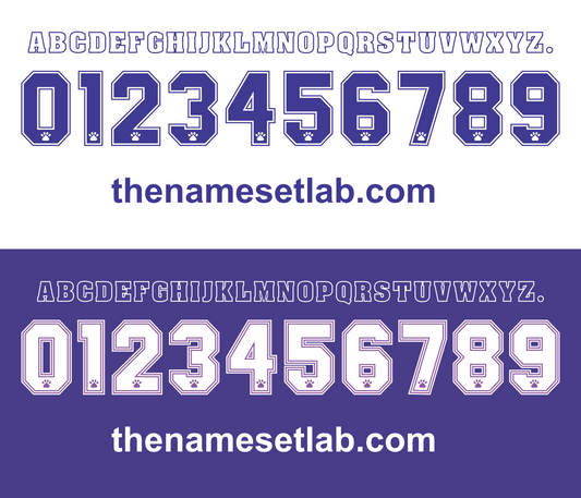 Real Madrid 1994-1996 Nameset AI Vector File