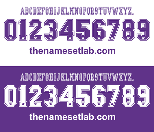 Real Madrid 1997-1998 Nameset AI Vector File