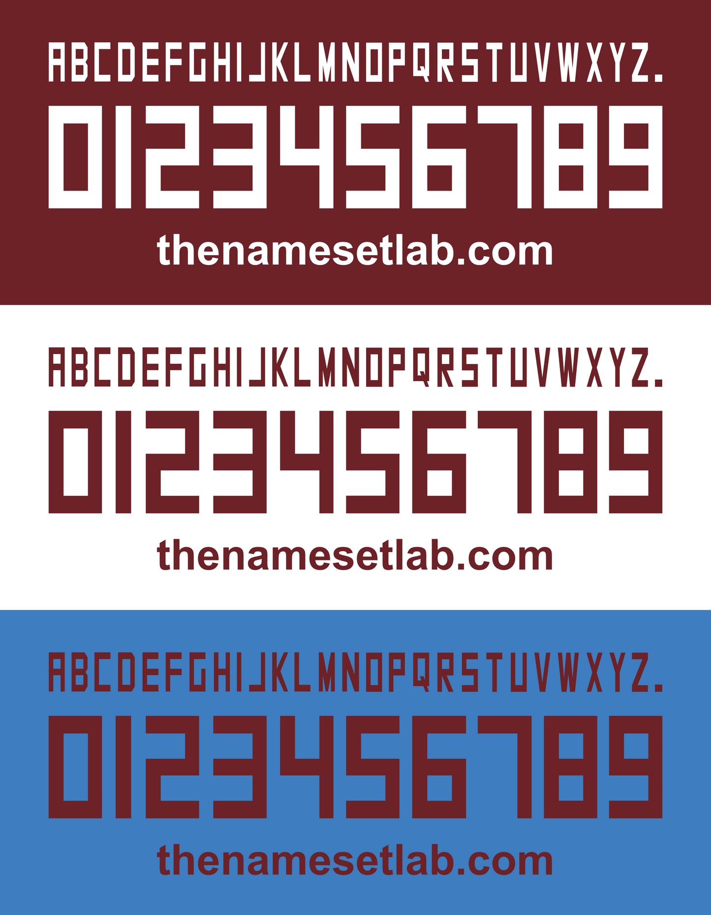 Torino 2013-2015 Nameset AI Vector File