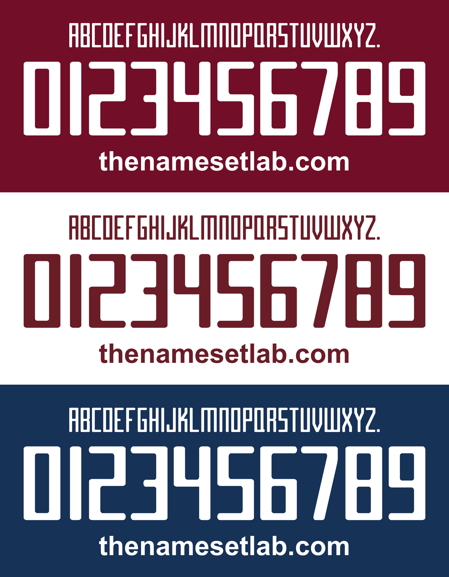 Torino 2015-2017 Nameset AI Vector File